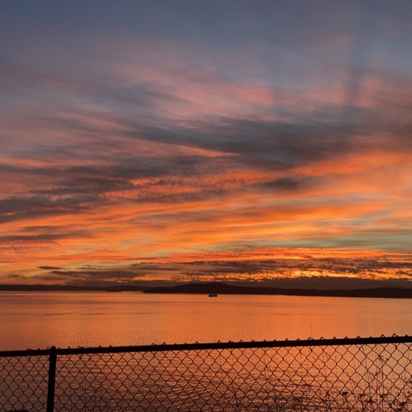 Meet your Posher, Cade - Picture 1 of 1